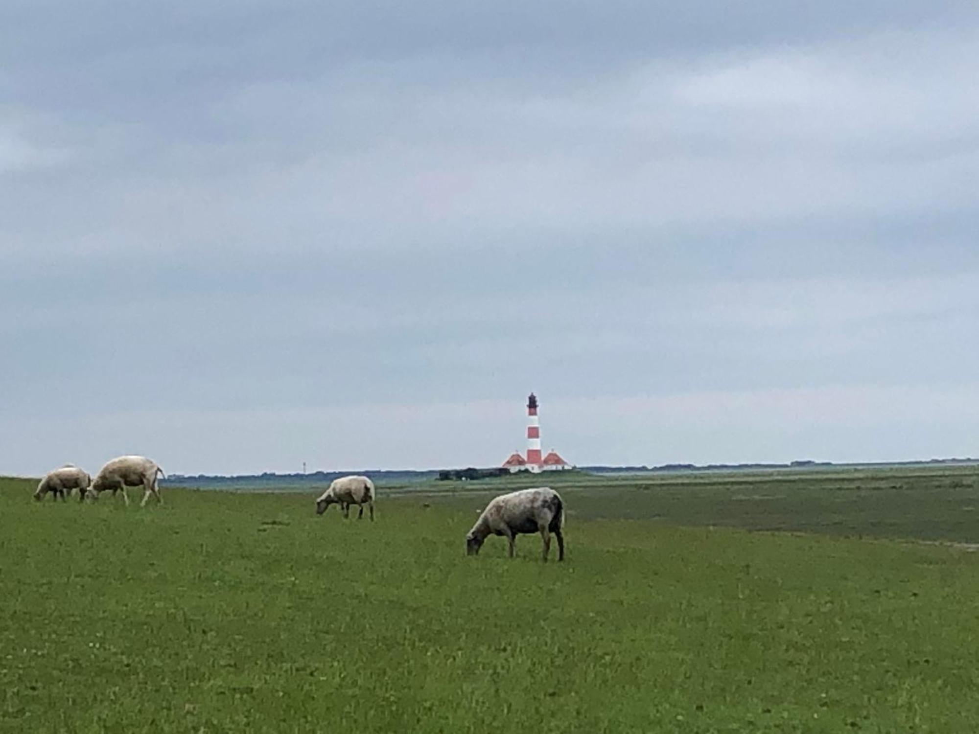 Haubarg Alte Strandvogtei Westerhever Kültér fotó